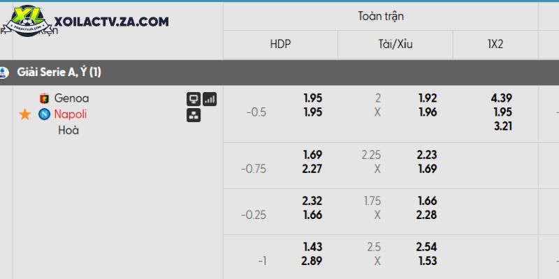 Arsenal th?ng Tottenham Women 5-0 t?i Emirates (NamM?)— Góc nhìn bóng ?á Nam M?